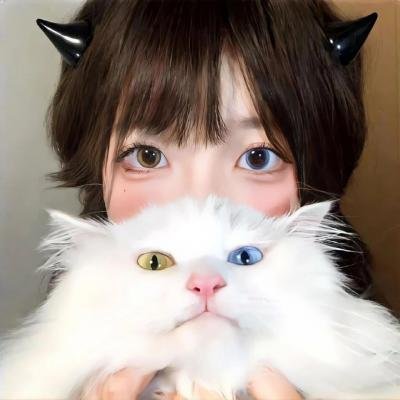 骑弹飞行