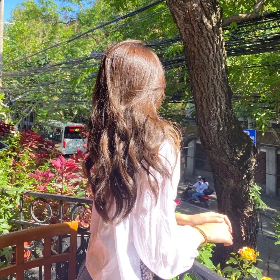 龙樱2